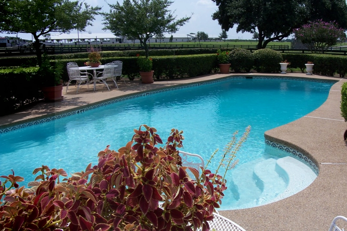 Southfork pool